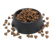 Dog Bowl