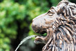 lion fountain