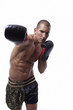 Sexy muscle young man with muay thai gloves
