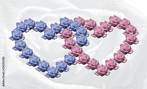 Foto: Rosen Love Rosen Love