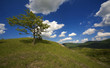 Paesaggio estivo n° 1