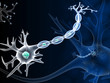 neuron