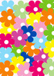 Carta regalo fiori colorati Carta regalo fiori colorati