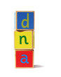 Photo: wooden blocks with letters dna wooden blocks with letters dna