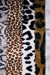 Safari fabric texture background. Safari fabric texture background.