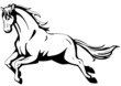 Pferd