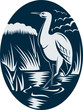 Heron wading in the marsh or swamp