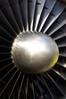 Rotor