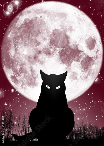 Illustration: Mystery-Cat Mystery-Cat