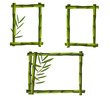 Green bamboo frames made of stems. Vector.