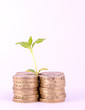 Financial Growth