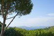 Côte d'azur, St Tropez Côte d'azur, St Tropez
