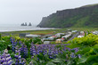 The icelandic town Vik