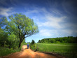 Dusty road on a beautiful spring day