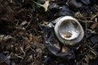 Verbrannte Dose - Burned Cans