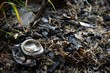 Verbrannte Dose - Burned Cans