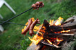 Roasting sausages on campfire in the garden Roasting sausages on campfire in the garden