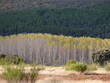 Panorama Cammino di Santiago