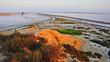 Paesaggio salina Camargue Francia