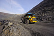 Extraction of iron ore