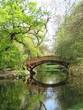 romantische brücke im grünen