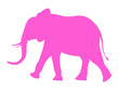 Éléphant rose