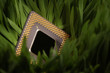 cpu in a green meadow