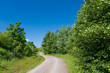 Weg in sommergrüner Landschaft