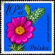 POLAND - CIRCA 1981 Cane Cholla