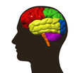 Illustration of human brain and male profile