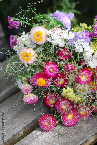 Foto: Strohblumen (Helichrysum bracteatum ) Strohblumen (Helichrysum bracteatum )