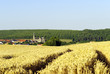 agriculture et village