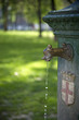 ACQUA ACQUA