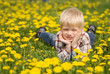 The thoughtful boy among dandelions The thoughtful boy among dandelions