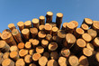 Trunks at a sawmill in German summer