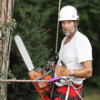 Baum Doktor