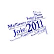 Carte de voeux 2011