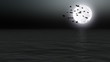 Birds flying over calm sea with moon - Nature - Night Birds flying over calm sea with moon - Nature - Night