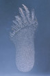 Eisblume in Form eines Fussabdruckes