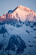 la dent parrachée