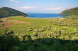 Skadar lake