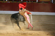 Torero dando un pase