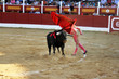 Torero dando un pase