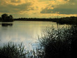 L'étang au crépuscule.