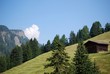 alpe di siusi