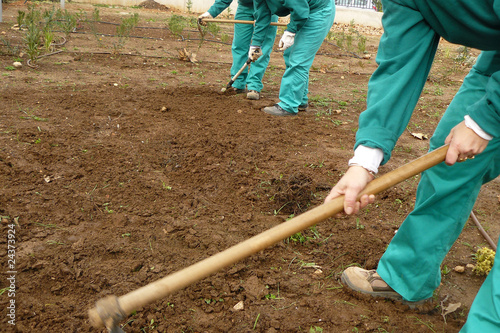 Foto: CULTIVANDO LA TIERRA. JARDINERÍA Y HUERTO CULTIVANDO LA TIERRA. JARDINERÍA Y HUERTO