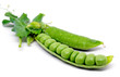 Fresh green pea pod and peas with water drops