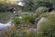 Summer in Central Park by the pond with flowers Summer in Central Park by the pond with flowers