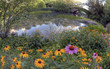 Summer in Central Park by the pond with flowers Summer in Central Park by the pond with flowers