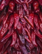 Close-up of a Bunch of Dried Chilies Close-up of a Bunch of Dried Chilies